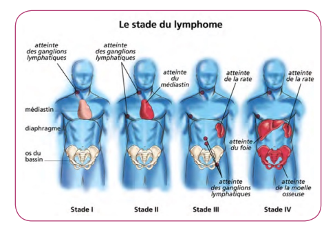 Stades et grades | Ellye