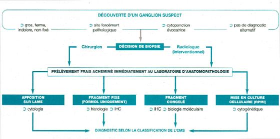 illus_determination_diagnostic.jpg