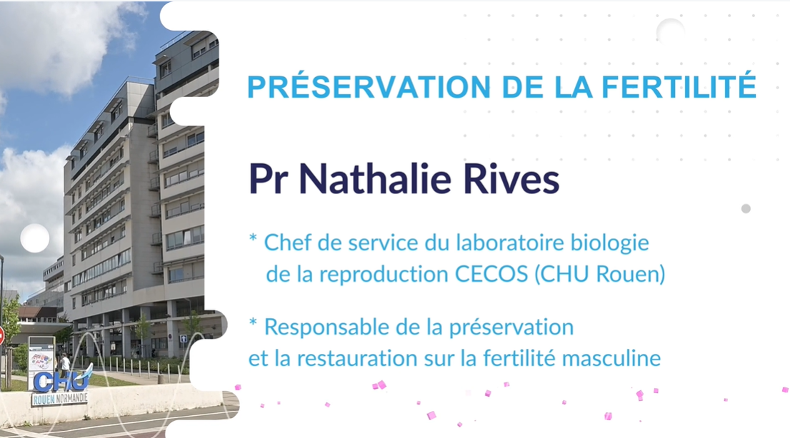 Capture d’écran (1144).png